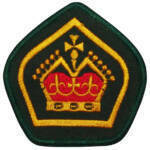 queen-scout-award-scouts-wa